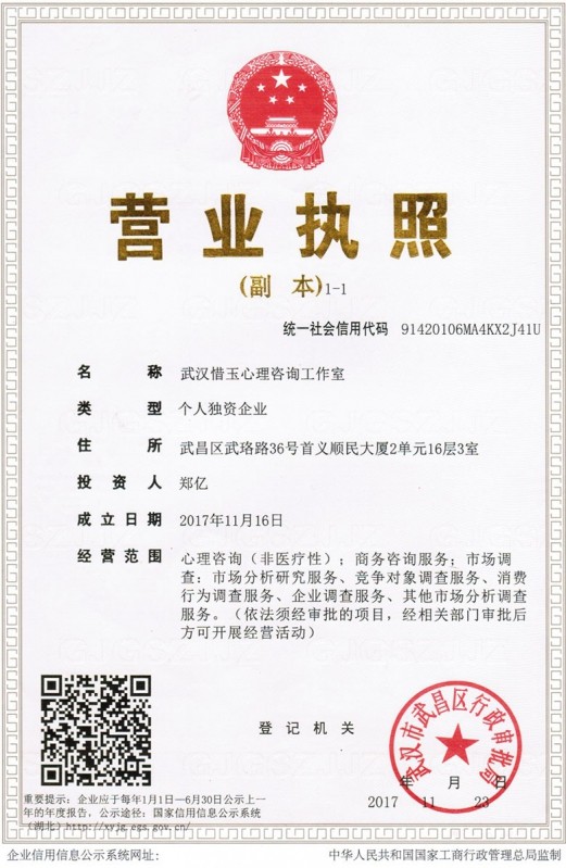 企业营业执照信息
